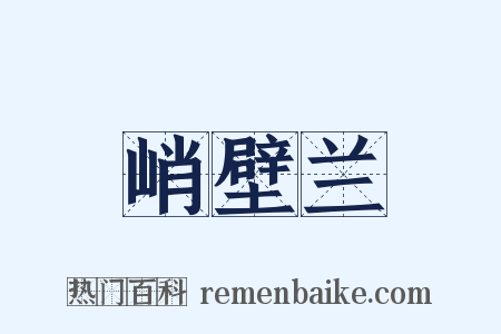 峭壁兰是什么意思的图片